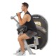 Triceps Extension Hoist Fitness CL-3103